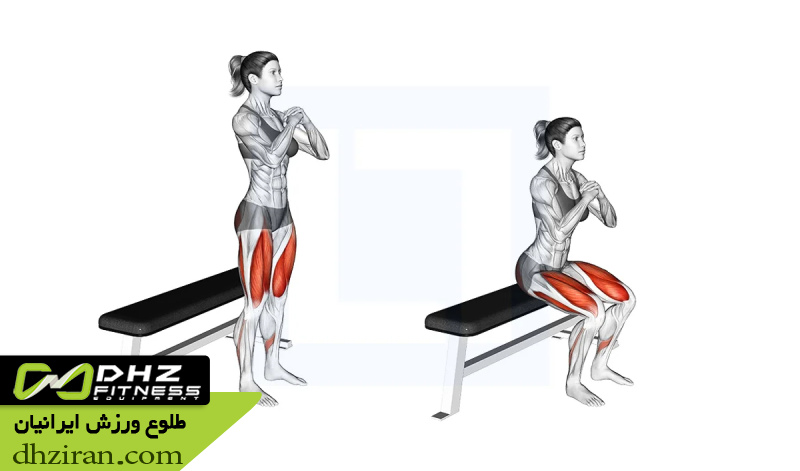 اسکوات با وزن بدن Bodyweight Squat: 